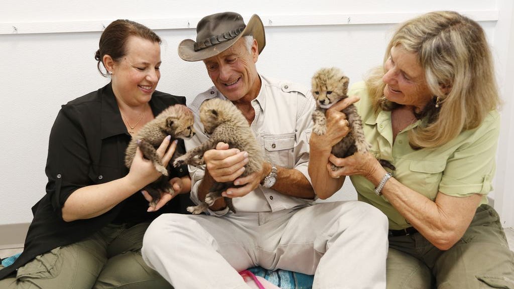 In this May 2018 photo, Jack and Suzi Hanna and their daughter Julie (left) hold a trio of 3-week-old baby cheetahs.